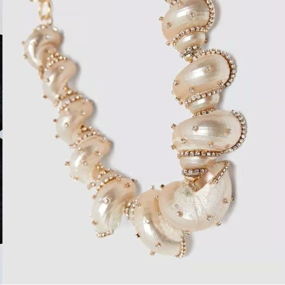 Zara special edition. Beautiful sexy stunning high quality large shell necklace - Picture 6 of 6